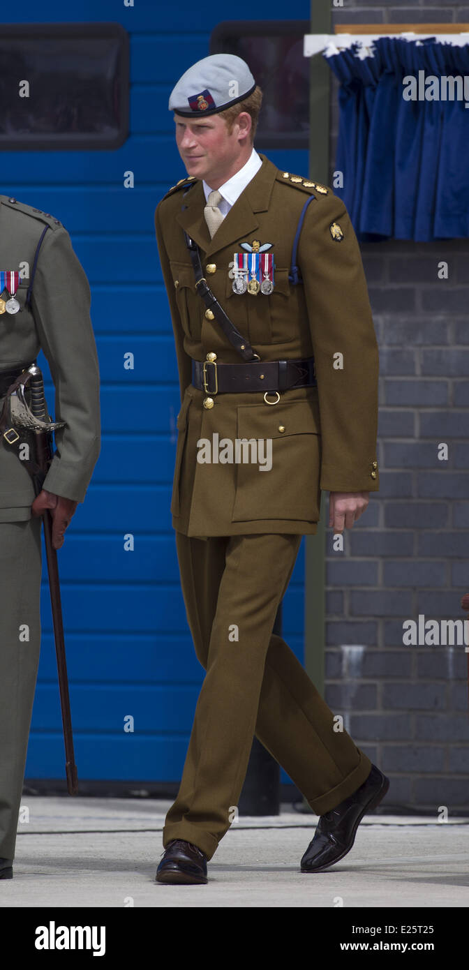 La Gran Bretagna è il principe Harry, Commodore-in-Chief navi di piccole dimensioni e le immersioni, visite dei Royal Marines Tamar, HM Base Navale di Devonport, Plymouth. Il principe ha aperto ufficialmente la Royal Navy di nuova costruzione centro di eccellenza anfibio. Durante il tour, il principe Harry ha preso la parata, salutano e rivisto la guardia e sfilata di 1 Assault Squadron Royal Marines. Egli ha anche partecipato ad un ricevimento per il personale militare e per le loro famiglie e uniti per una unità fotografia con 1 gruppo di assalto Royal Marines con: il principe Harry del Galles dove: Plymouth, Regno Unito quando: 02 Ago 2013 Foto Stock