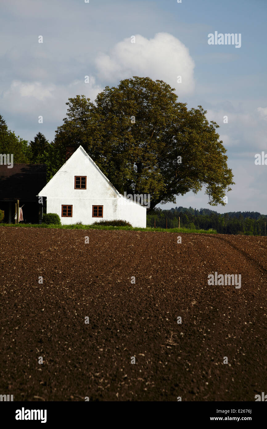 Casa colonica della Stiria e campi in primavera. Attendorf Stiria Austria - Südsteirisches Bauernhaus und unbestellte Felder im Frühling Foto Stock