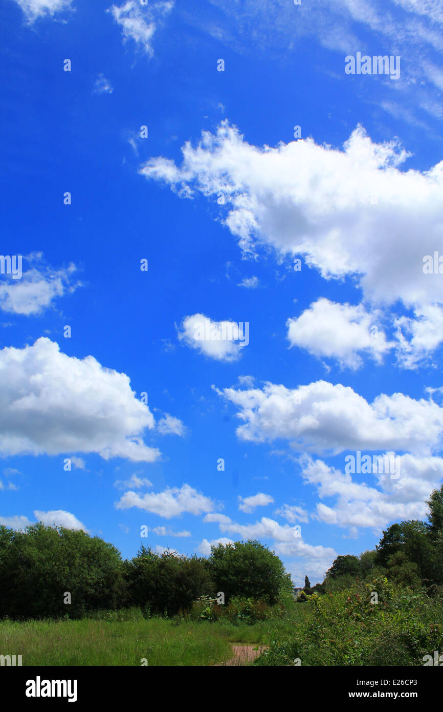 Un cuore a forma di nuvola in estate Foto Stock