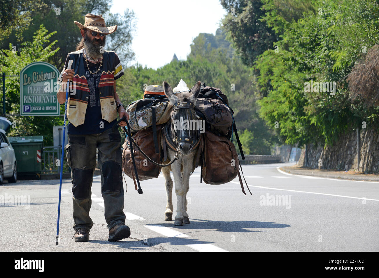 Uomo che viaggia con donkey vicino a Chiavari Italia sul loro modo di Strasburgo / Asini Muli vecchio hippy man walking animali in viaggio Foto Stock