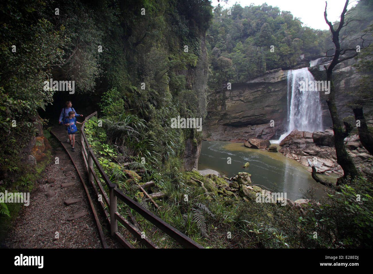 Mangatini cade sull'incantevole insenatura marciapiede, Granity, nella costa occidentale dell'Isola del Sud, Nuova Zelanda Foto Stock