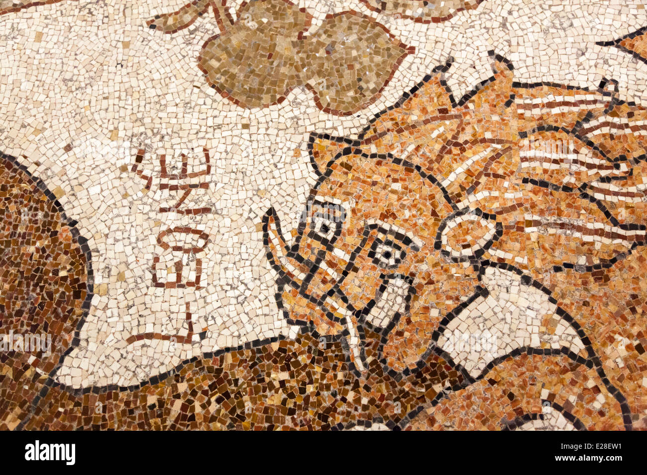Dettaglio del XII secolo albero della vita pavimento a mosaico (leone) della  Cattedrale di Otranto in Puglia, Italia meridionale Foto stock - Alamy