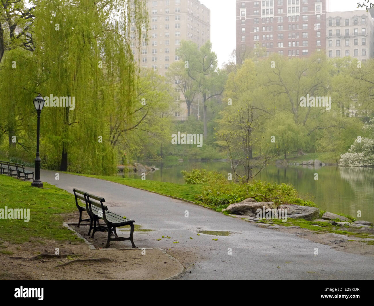 Central Park in una nebbiosa giornata con un vuoto di una panchina nel parco in primo piano Foto Stock