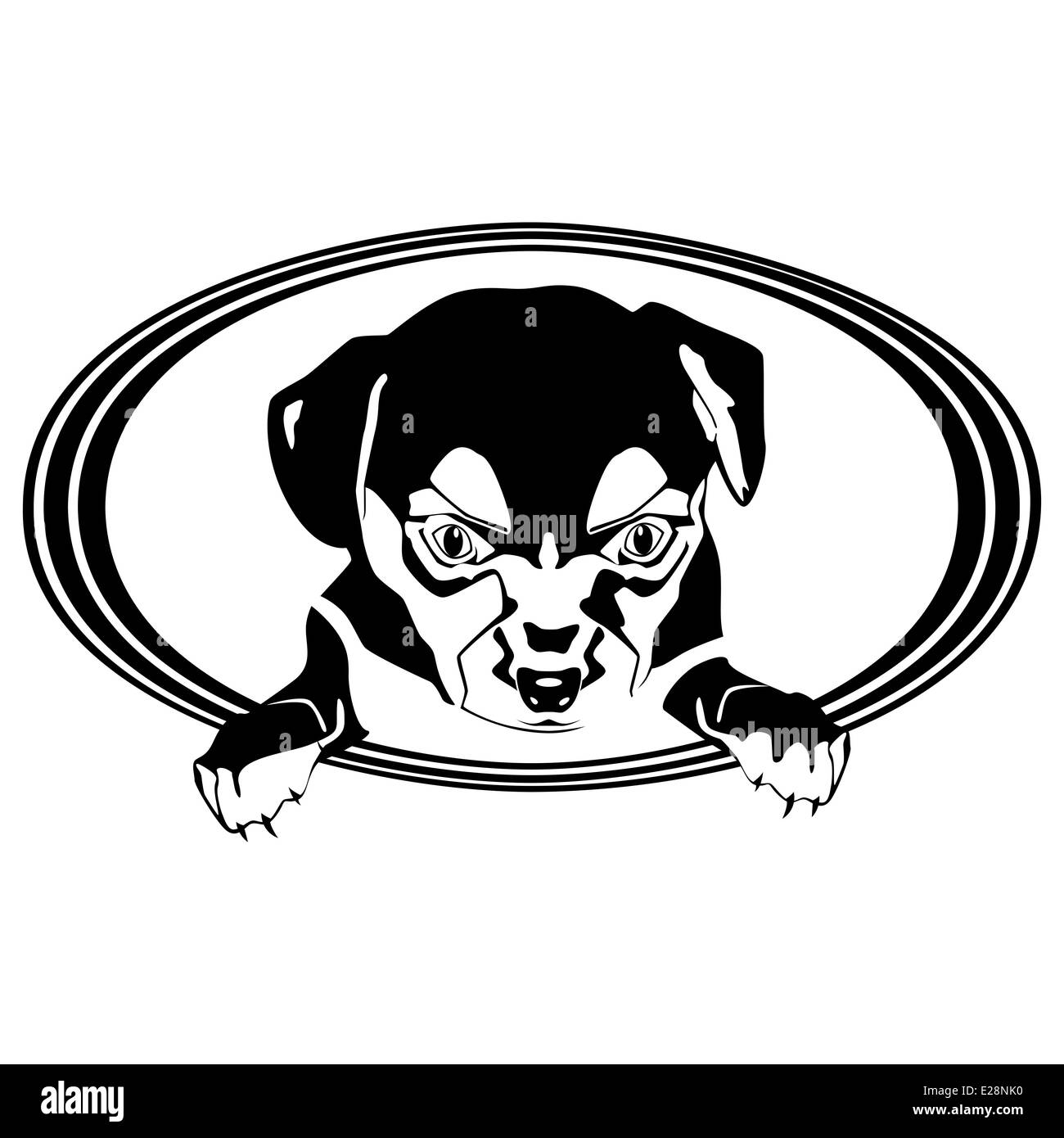 Piccolo cane in una cornice astratta. Immagine su sfondo bianco. Foto Stock