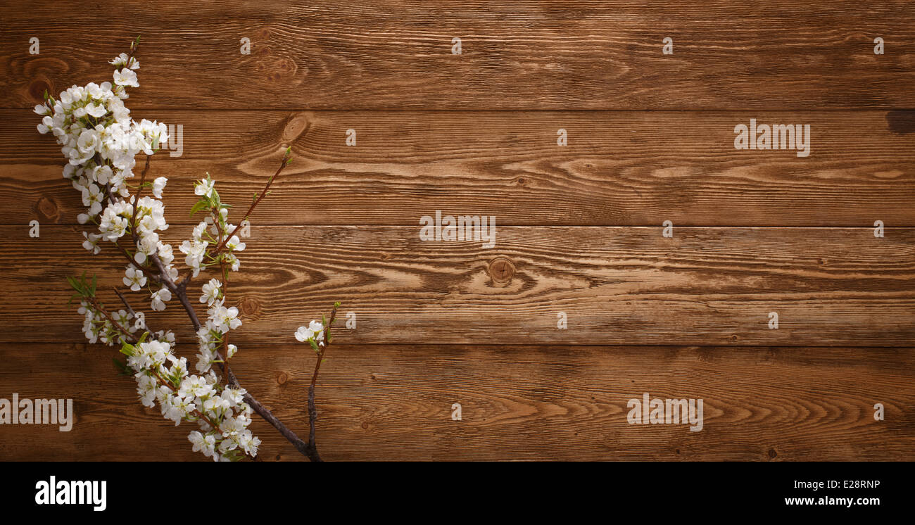 Fiori su legno sfondo texture con copyspace Foto Stock