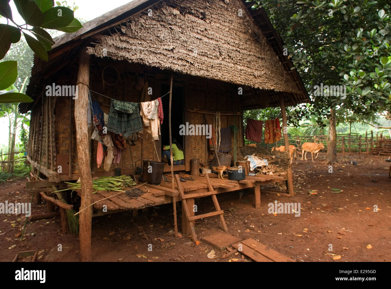 Famiglia di minoranza etnica di Khmer Leu. Villaggio Kateung. Ratanakiri. Ratanakiri si trova in Cambogia il lontano nord-est confina con Foto Stock