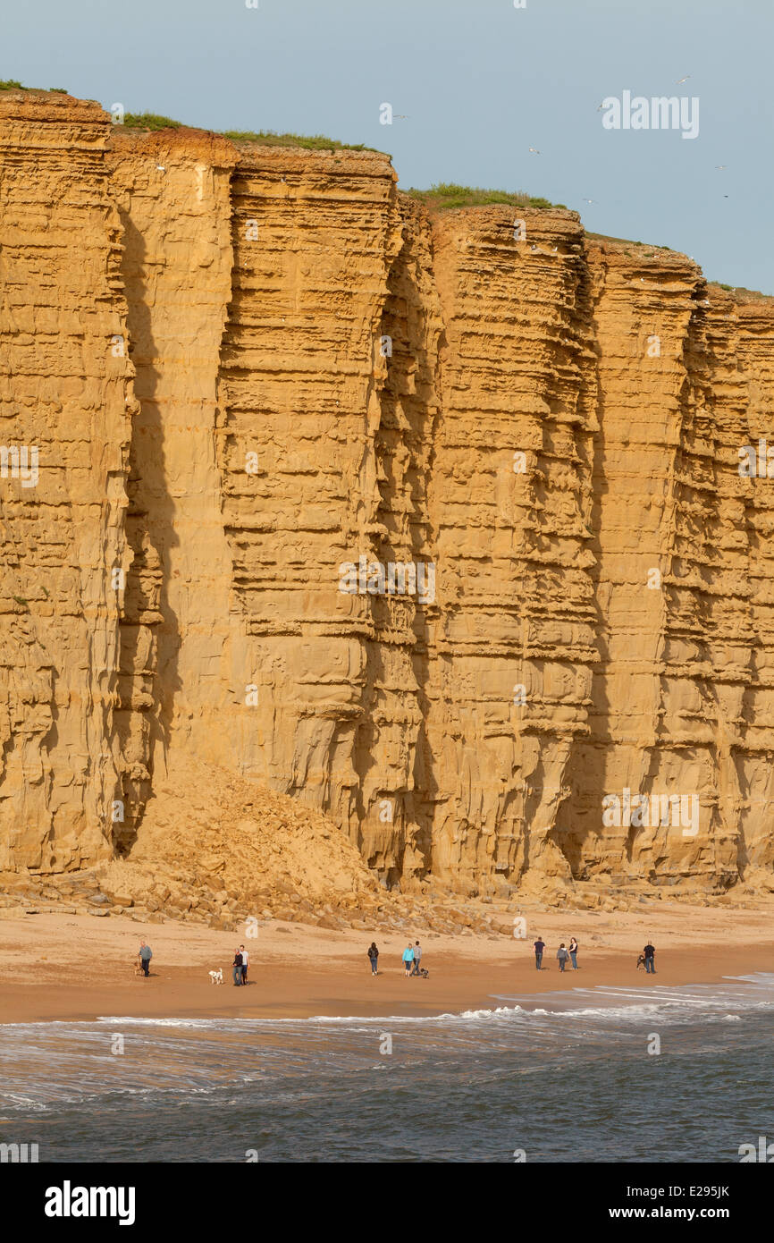La gente che camminava su una spiaggia della Jurassic Coast presso il West Bay, Dorset, England Regno Unito Foto Stock