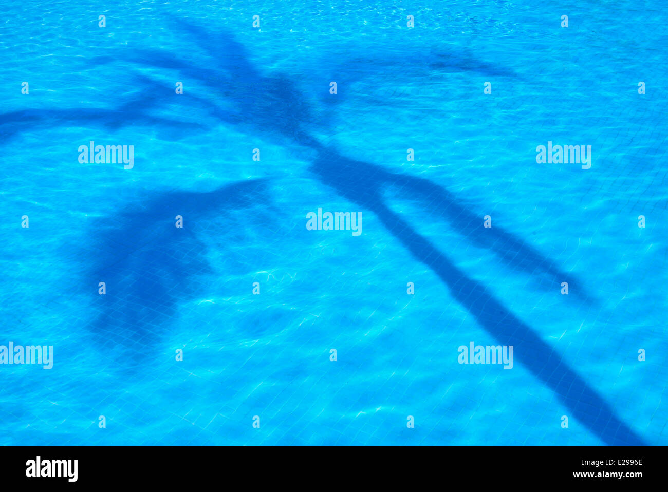 Palm tree ombra in piscina. Punta Mita, Messico Foto Stock