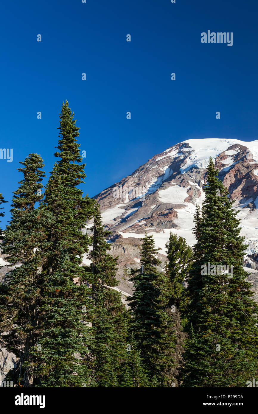 Il Parco Nazionale del Monte Rainier, Washington Foto Stock