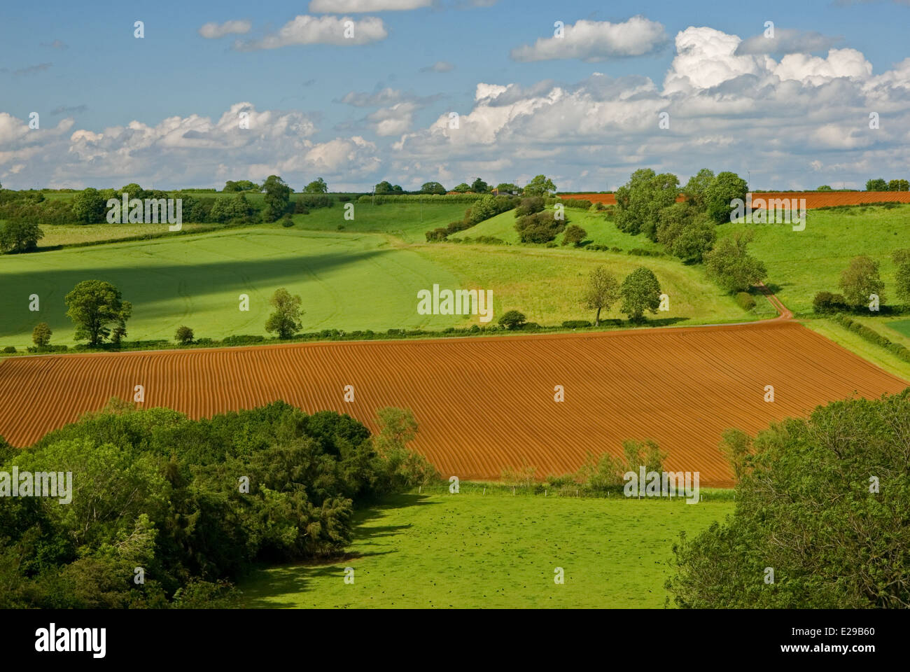 Paesaggio ondulato in Warwickshire / Oxfordshire confine segna la fine del Cotswolds. Foto Stock