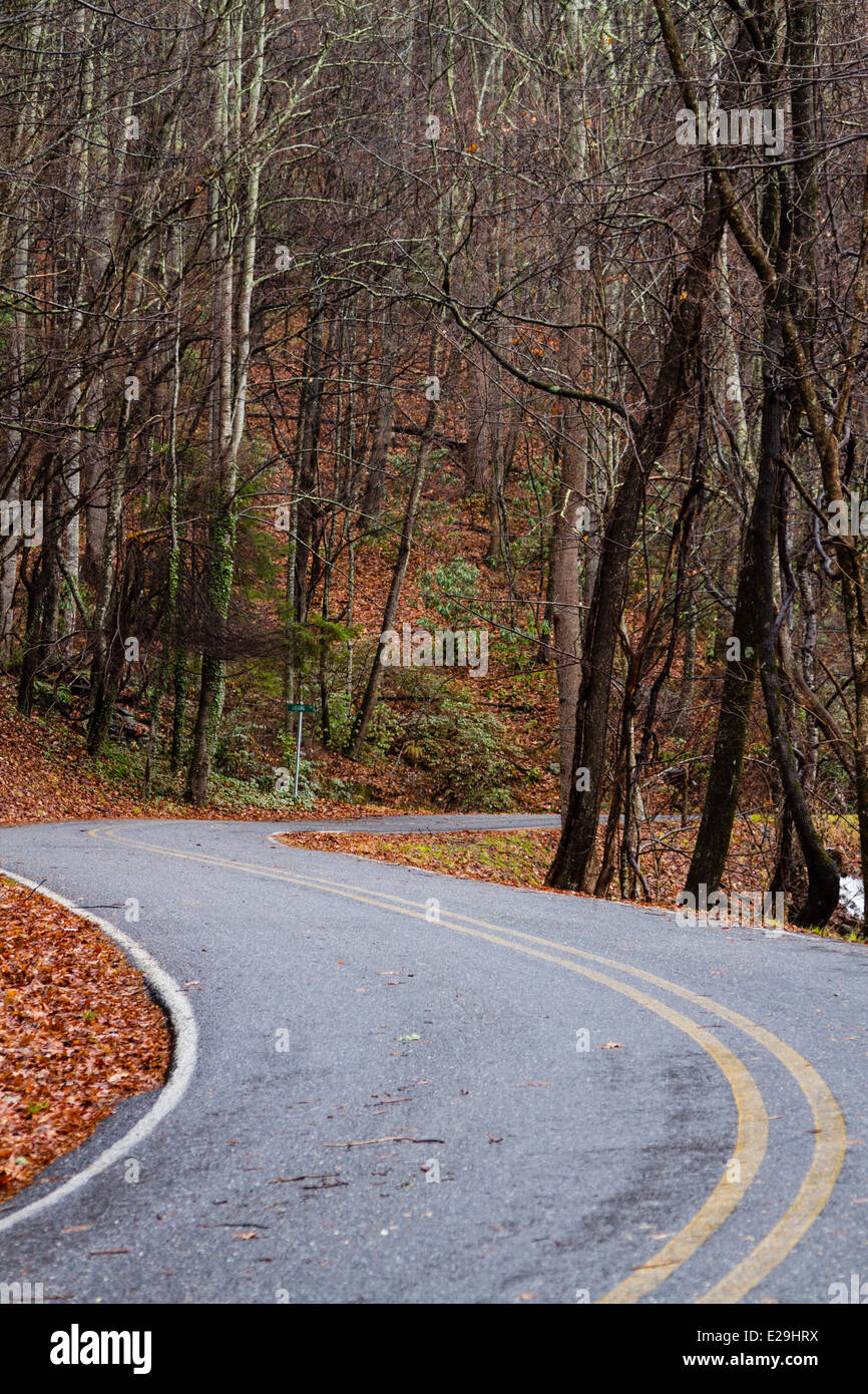 Curva strada di montagna, l'inizio dell'inverno. North Carolina Monti Blue Ridge Parkway Foto Stock