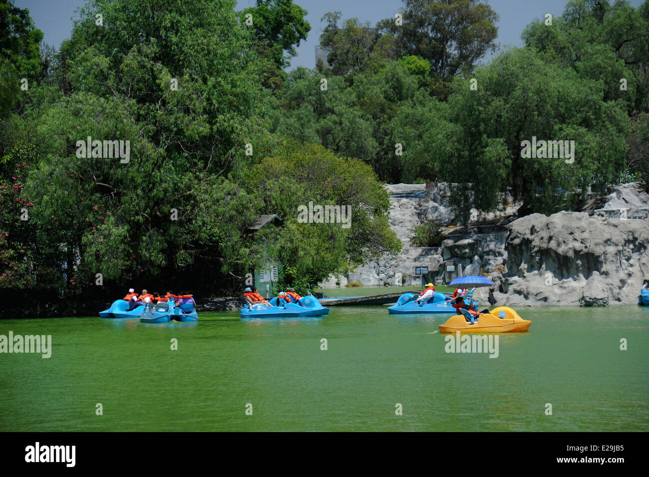 Ragazzi e famiglie in barca sul Lago Mayor de Chapultepec nel Chapultepec Park, Città del Messico, Messico Foto Stock