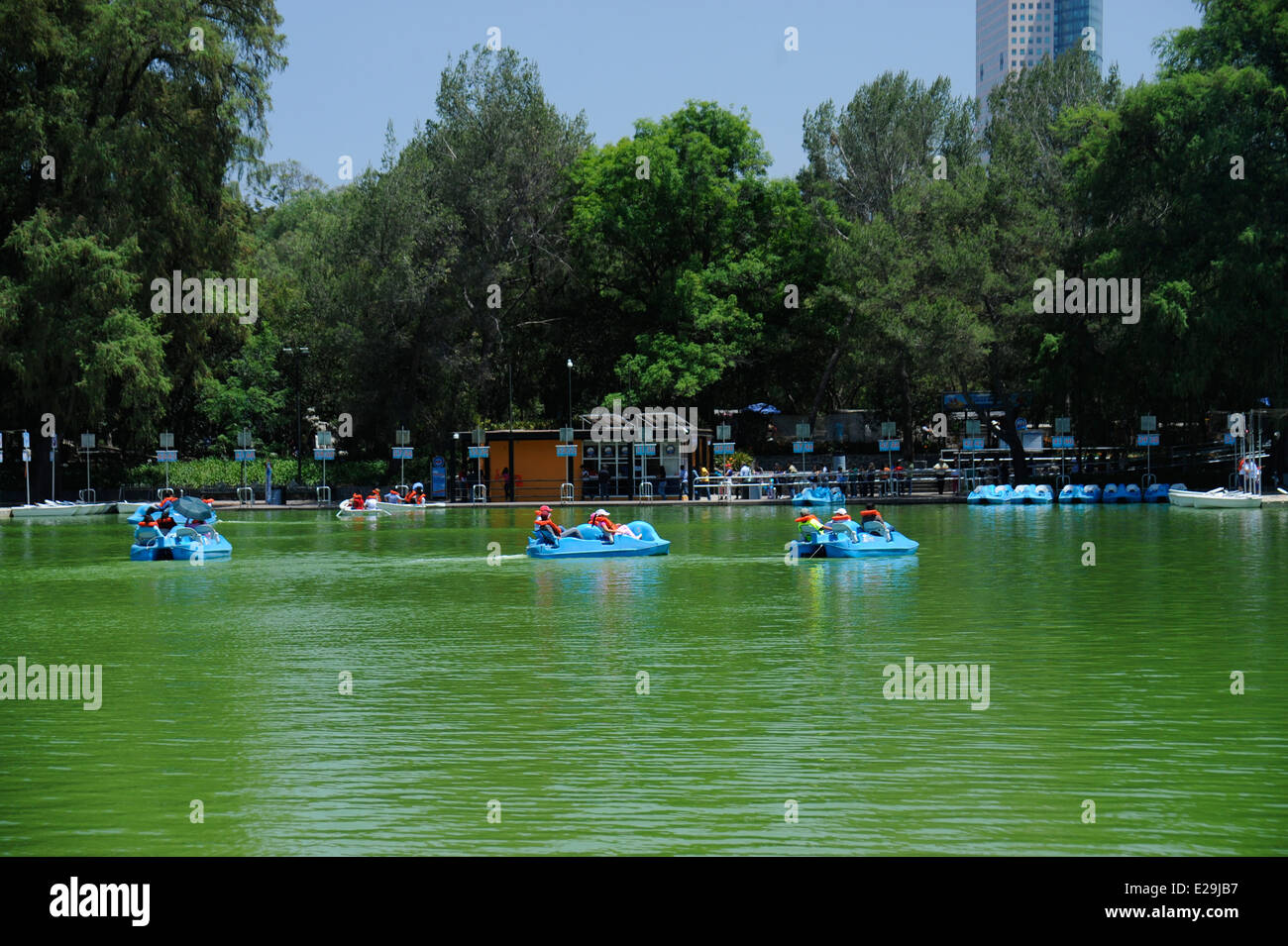 Ragazzi e famiglie in barca sul Lago Mayor de Chapultepec nel Chapultepec Park, Città del Messico, Messico Foto Stock