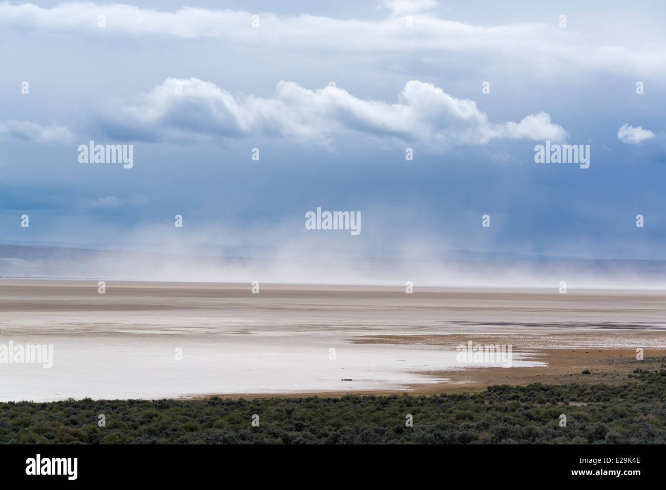 Vento che soffia la polvere sopra il letto asciutto del Lago Alvord, Oregon. Foto Stock