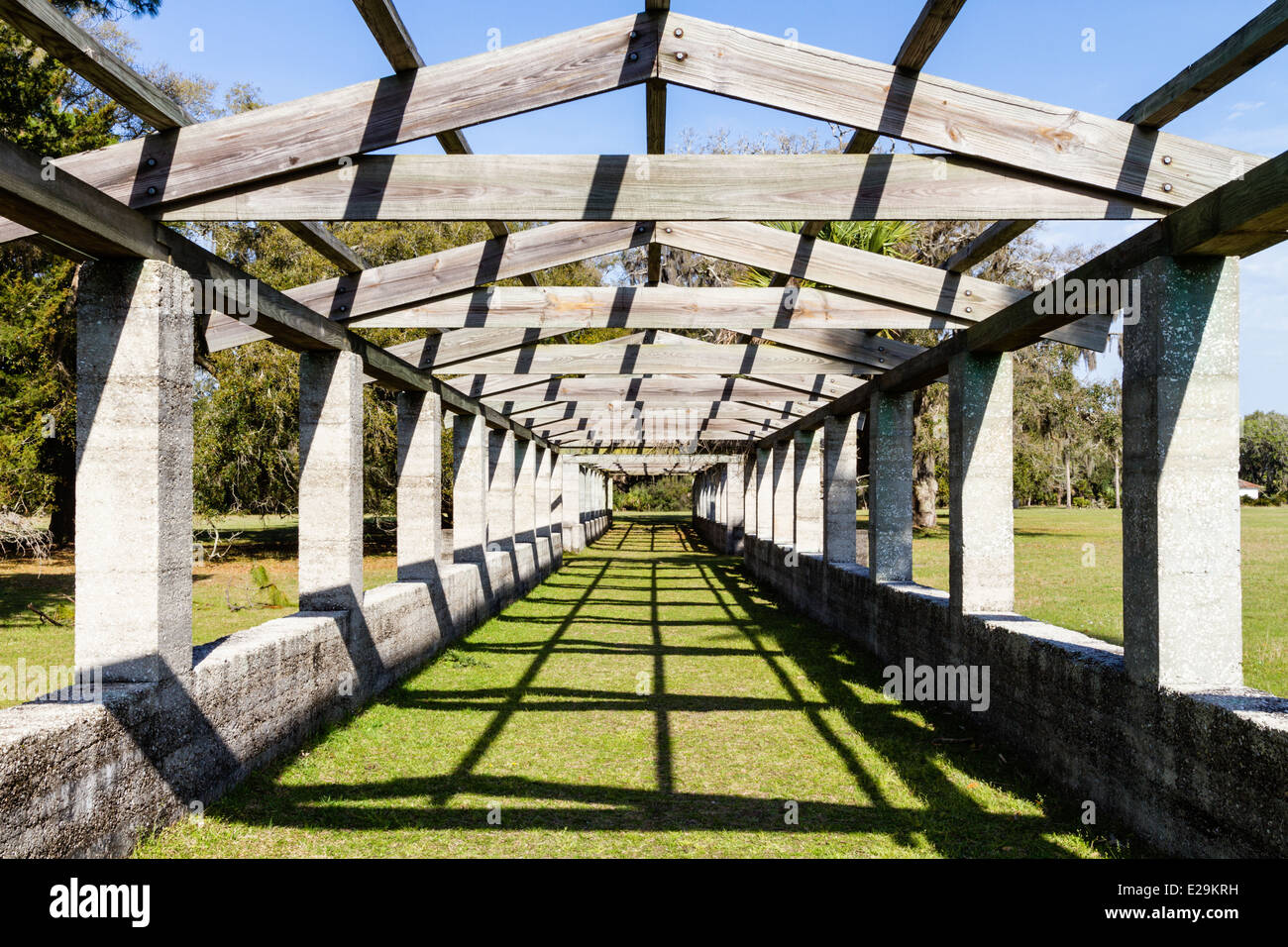 Pergola a Dungeness, Dungeness rovine, Cumberland Island National Seashore, Georgia Foto Stock