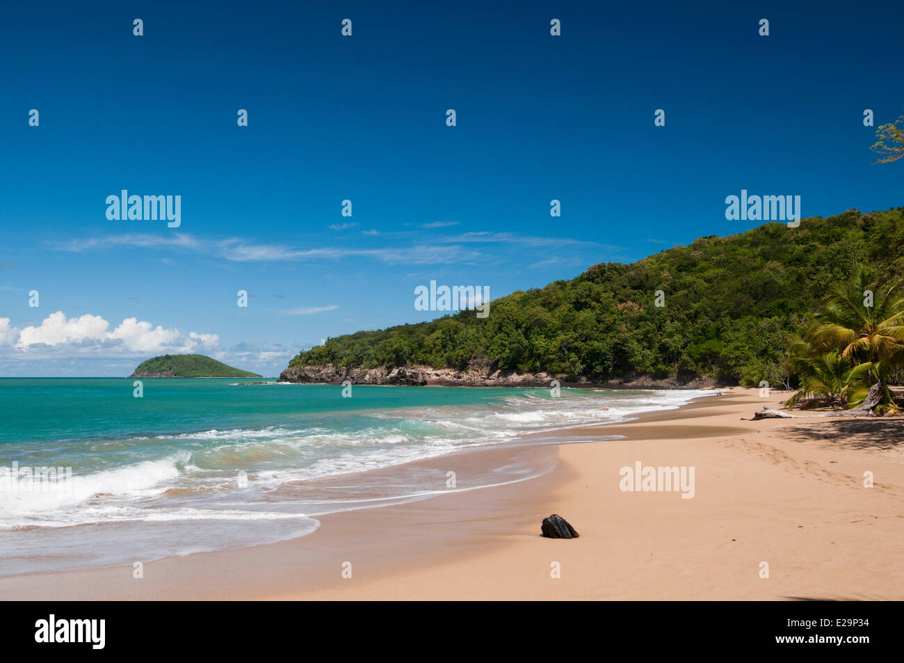 Francia, Guadalupa (Indie occidentali francesi), Basse Terre, Deshaies, La Perle Beach Foto Stock