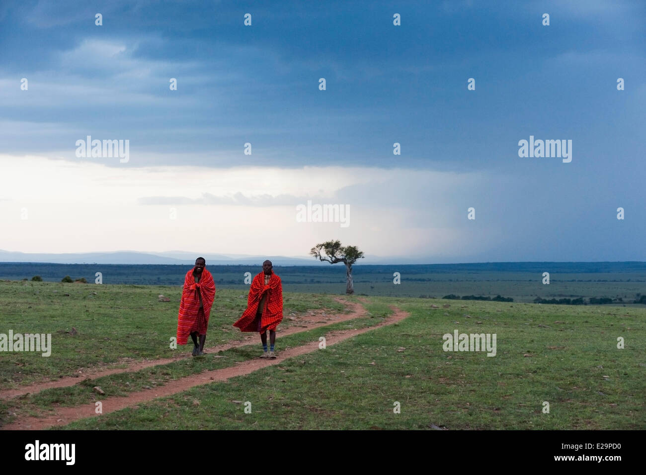 Il Kenya, il Masai Mara, Masai Foto Stock