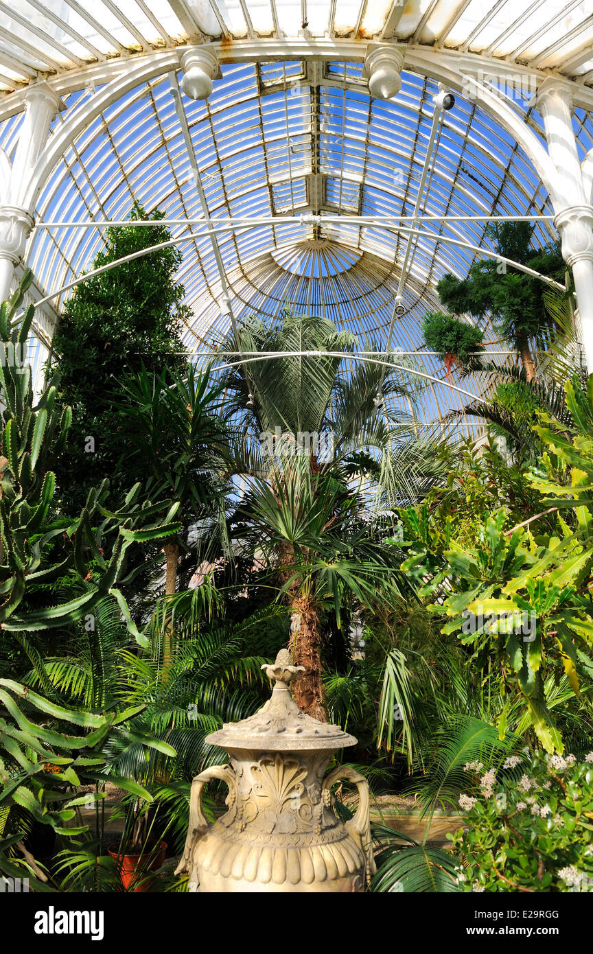 Regno Unito e Irlanda del Nord, Belfast, La Casa delle Palme presso il Giardino Botanico Foto Stock