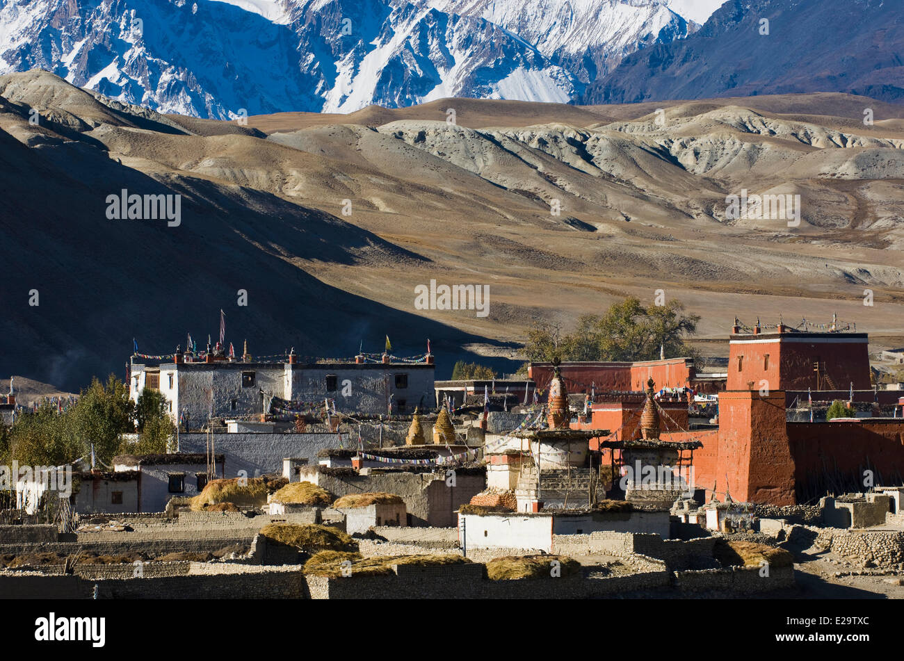 Il Nepal, zona di Dhawalagiri, Mustang distretto (ex regno di Lo), Lo Manthang, il capoluogo a 3760 m di altitudine, Foto Stock