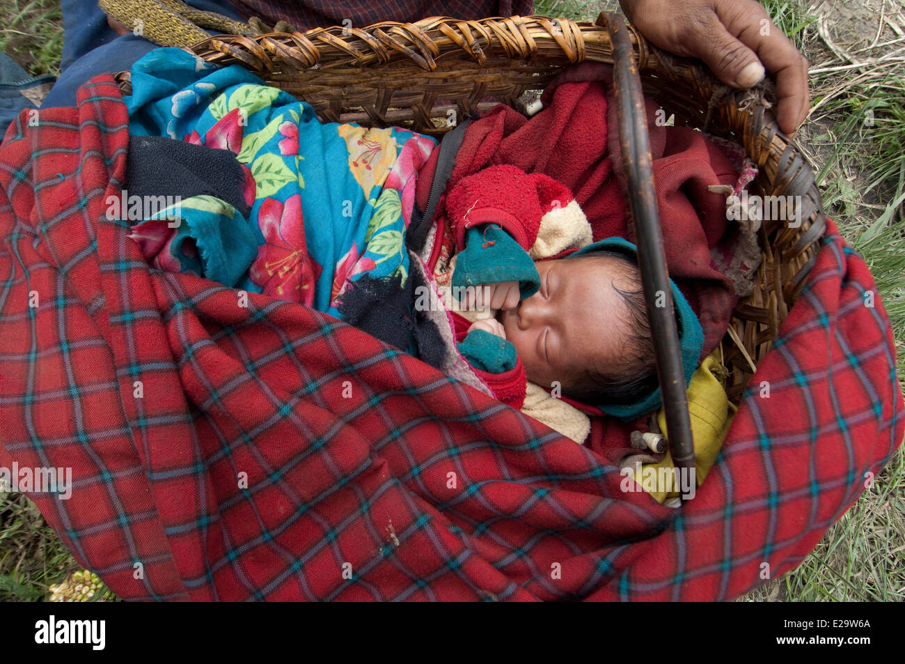 Il Nepal, zona di Bagmati, Distretto Rasuwa, Trisuli Valley, Gatlang, Tamang Heritage Trail, donna con culla e baby Foto Stock
