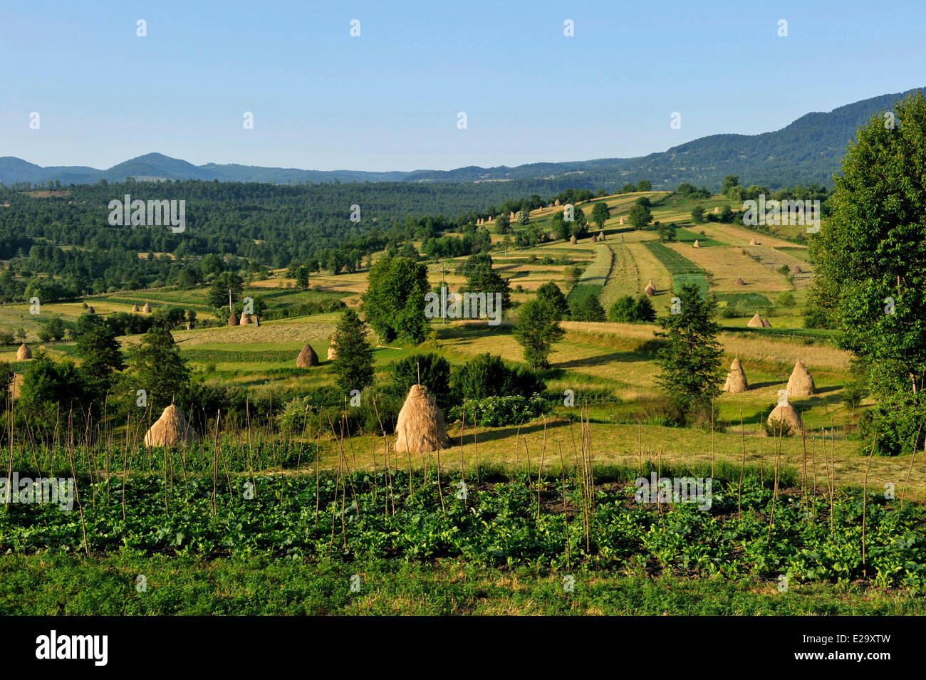 La Romania, Carpazi, regione Maramures, Iza valley Foto Stock