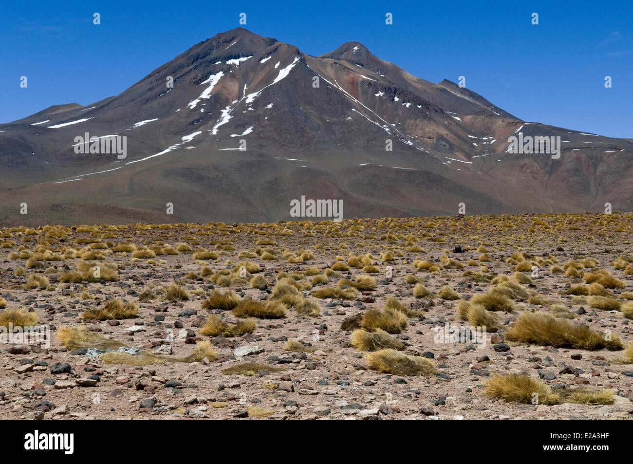 Il Cile, Antofagasta Regione, Altiplano, il Deserto di Atacama, los Flamencos riserva nazionale, frazioni di Laguna Miscanti e Foto Stock