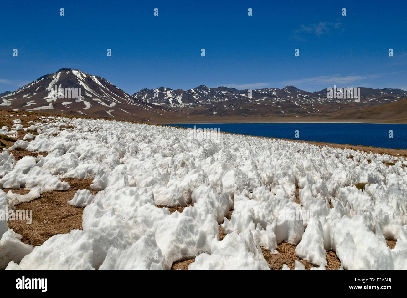 Il Cile, Antofagasta Regione, Altiplano, il Deserto di Atacama, los Flamencos riserva nazionale, Laguna Miscanti (4200 m) nelle Ande Foto Stock