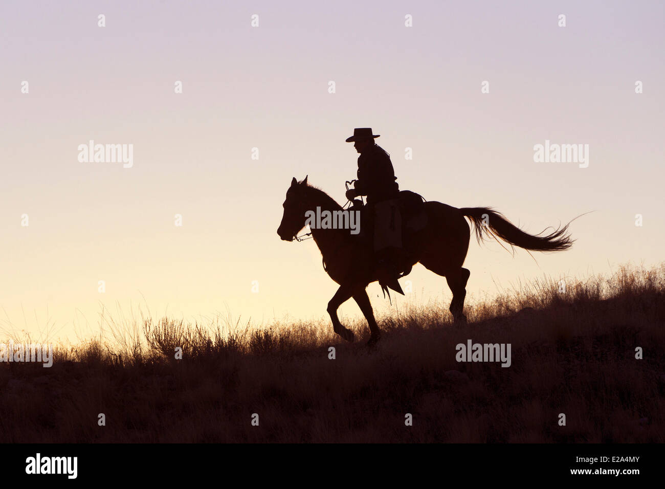 Stati Uniti, Wyoming, Shell, il nascondiglio Guest Ranch, il cow-boy Foto Stock