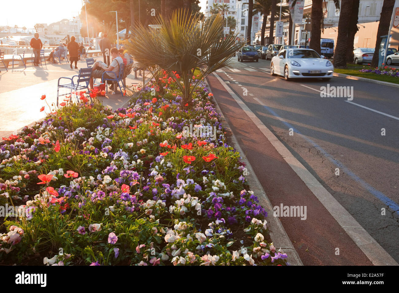 Francia, Alpes Maritimes, Cannes, Boulevard de La Croisette Foto Stock