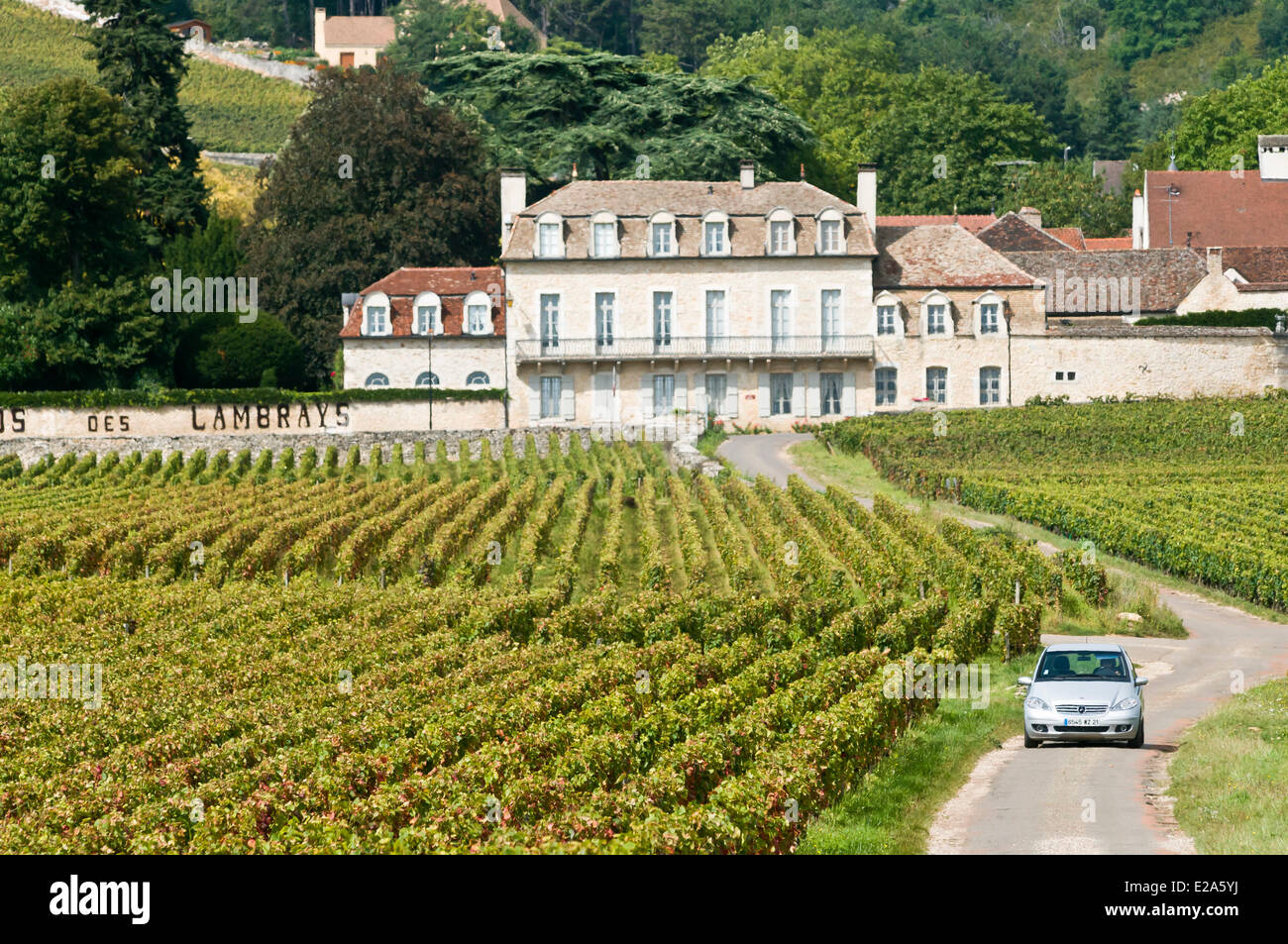 Francia, Cote d'Or, Route des Grands Crus, Cote de Nuits vigna Morey Saint Denis, Clos de Lambrayst, proprietà Lambrays view Foto Stock