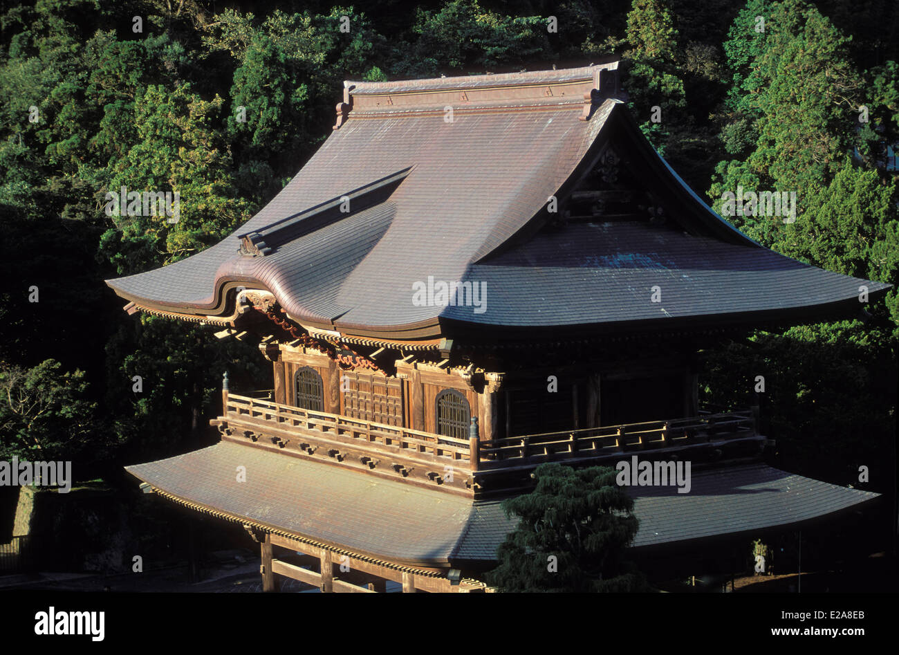 Giappone, isola di Honshu, Regione di Kanto a Kamakura, tempio Kenchoji Foto Stock