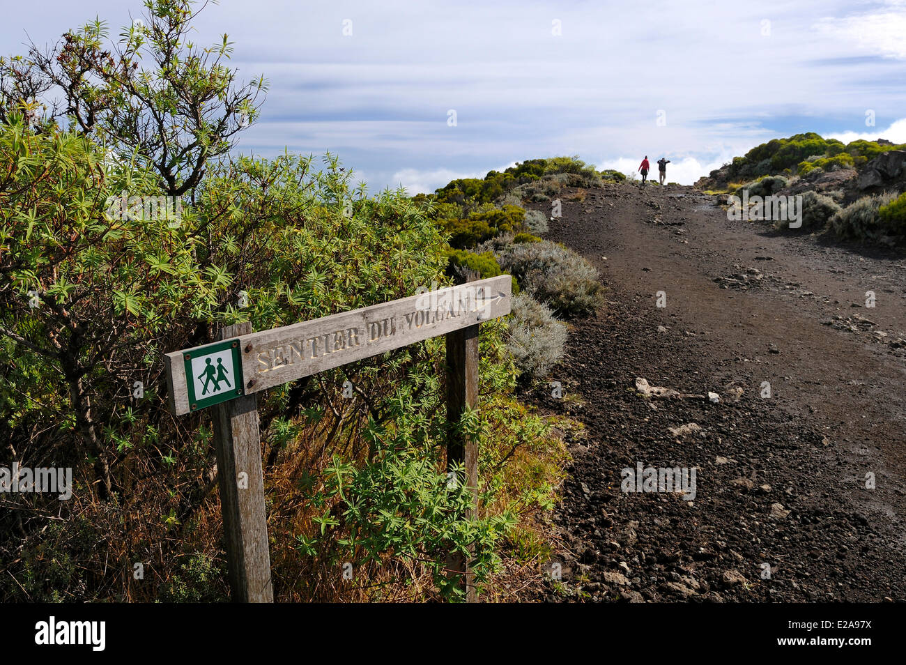 Francia, isola di Reunion (dipartimento francese d' oltremare), il Parc National de la Reunion Reunion (Parco Nazionale), elencato come il mondo Foto Stock