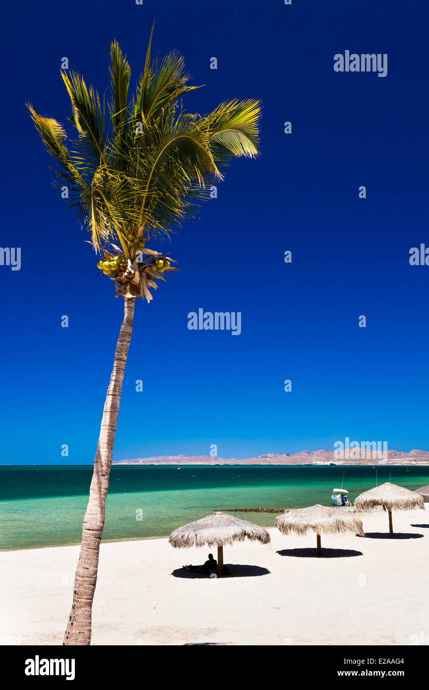 Messico, Baja California Sur stato, La Paz, spiaggia Foto Stock