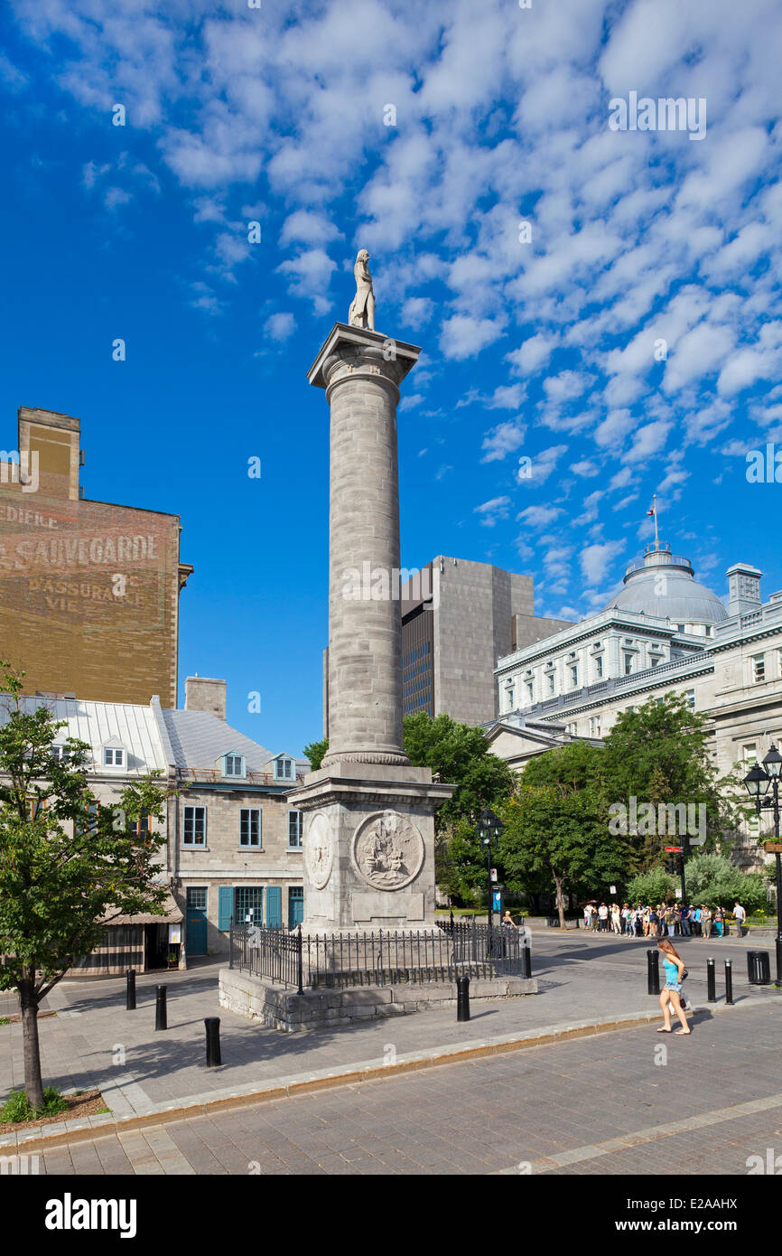 Canada, Provincia di Quebec, Montreal Vecchia Montreal, Place Jacques Cartier, la statua di ammiraglio Horatio Nelson sulla colonna di Foto Stock