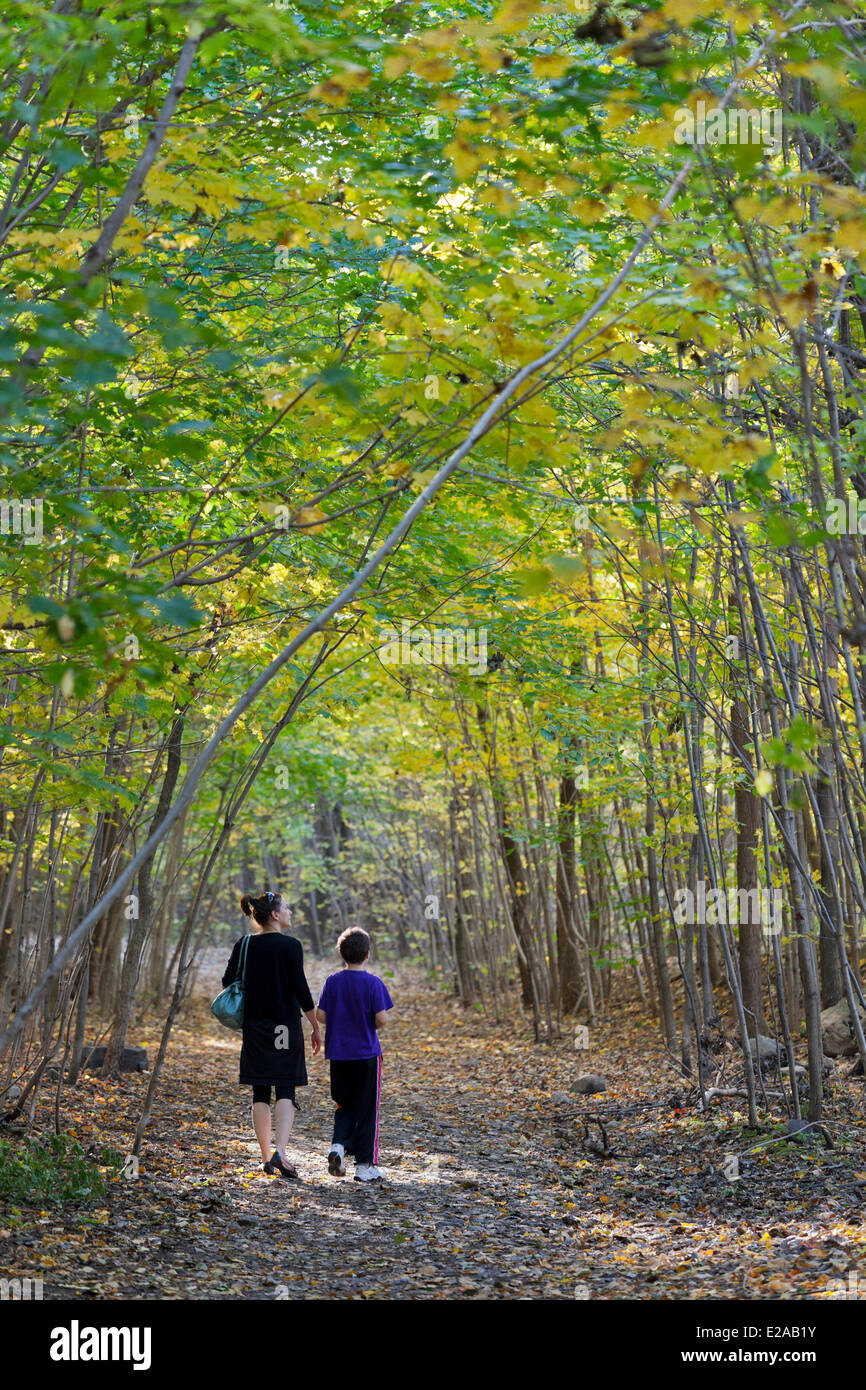 Canada, Provincia di Quebec, Montreal, il Mount Royal San Giovanni Battista legno, scuotipaglia Foto Stock