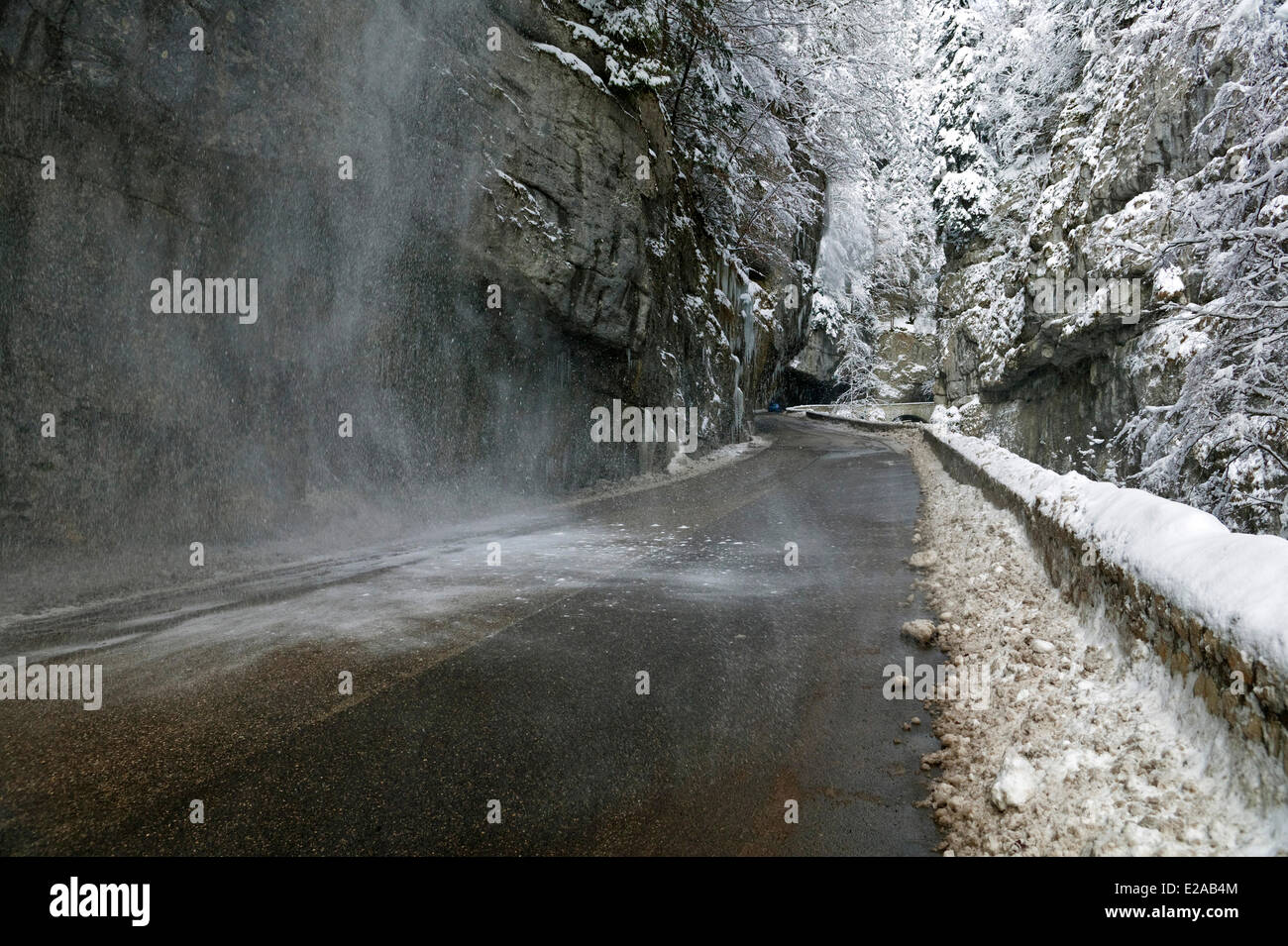 Francia, Isere, la Route des Gorges de la Bourne nel Parc Naturel Regional du Vercors (Parco Naturale Regionale del Vercors) Foto Stock