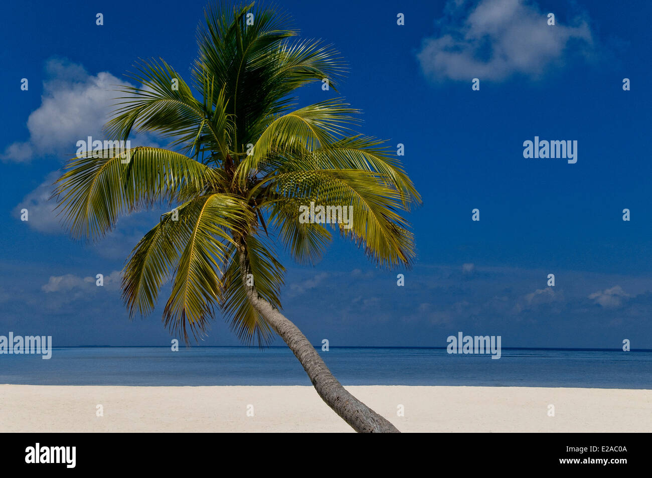 Maldive Alifu Dhaalu Atoll, Velavaru Island, Velavaru Angsana Resort and Spa di Banyan Tree group hotels Foto Stock