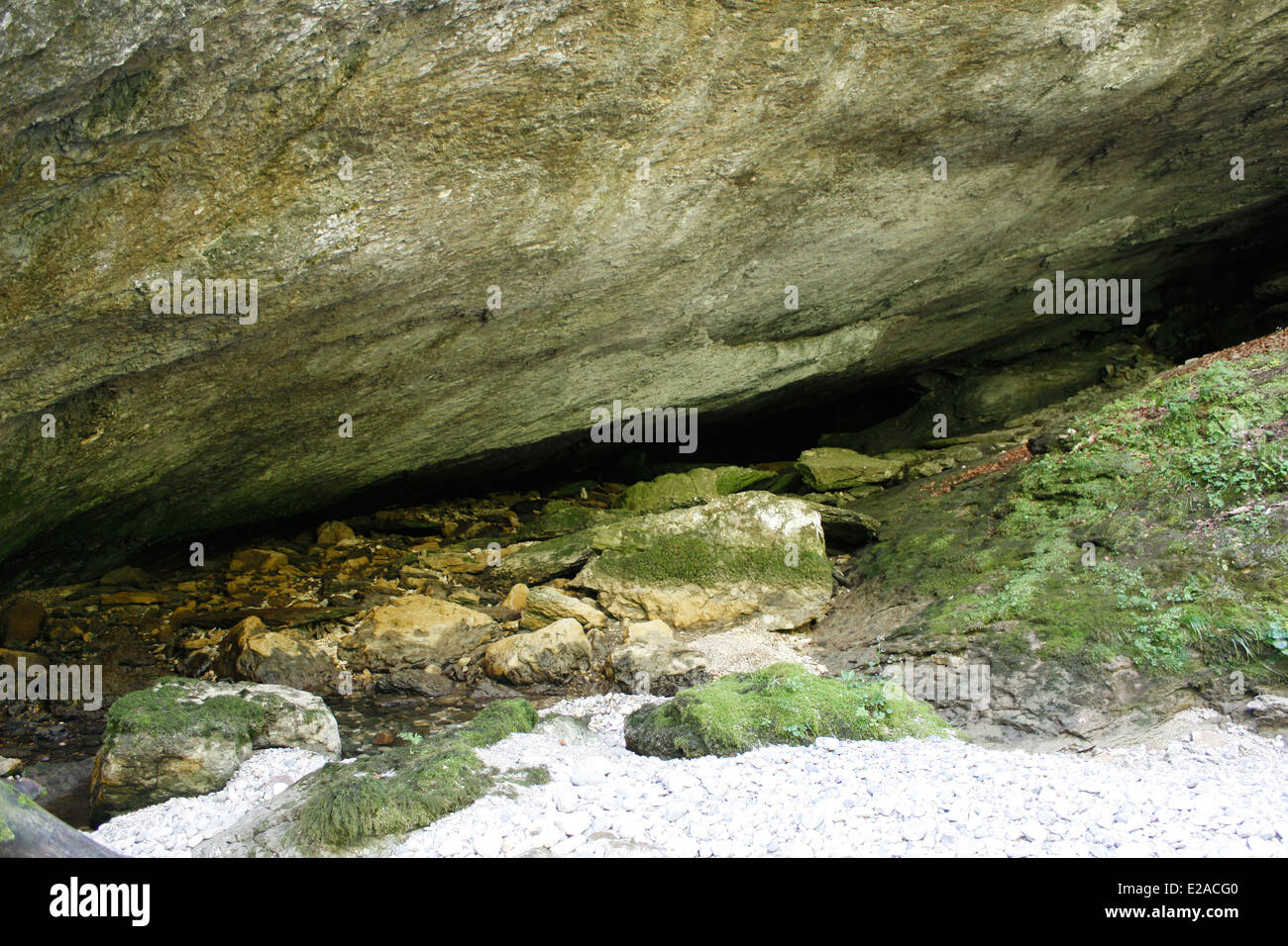 Grotta vicino al fiume di le Guiers Mort,Chartreuse mountain, Alpi Isère, Rhône-Alpes, in Francia. Foto Stock