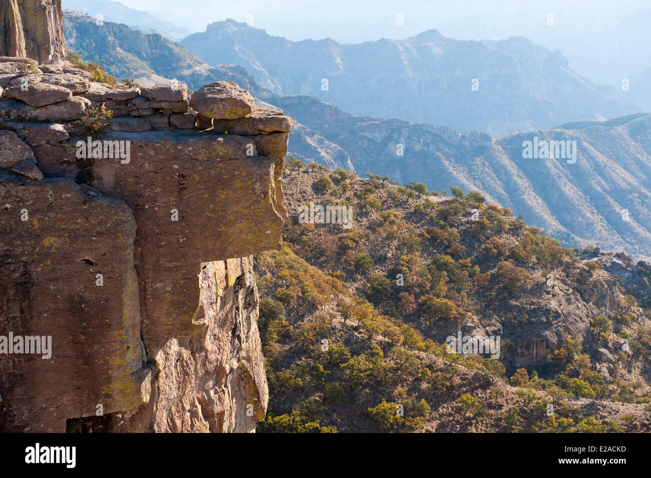 Messico, Stato di Chihuahua, Sierra Madre, Barranca del Cobre Canyon di rame) Foto Stock