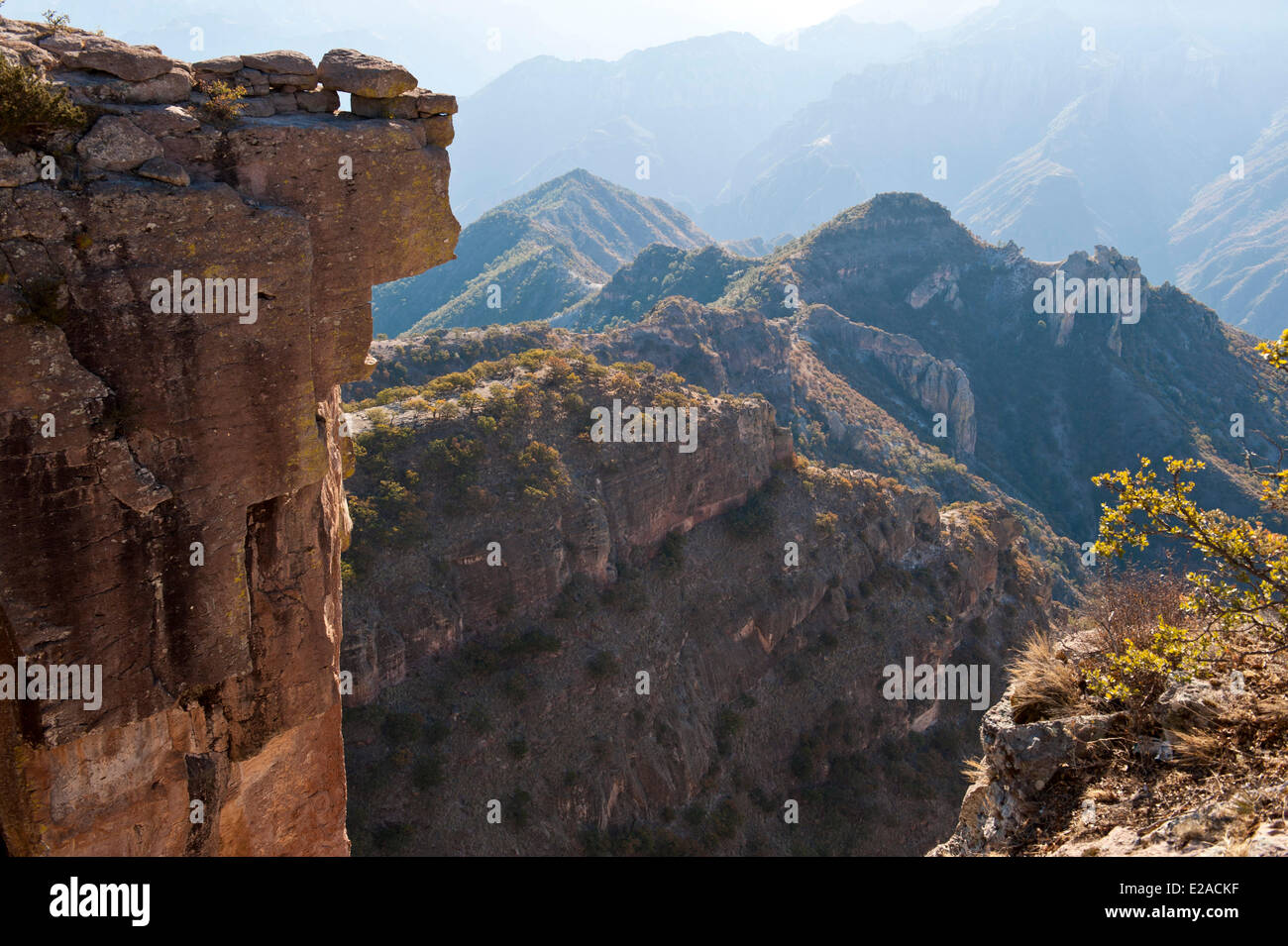 Messico, Stato di Chihuahua, Sierra Madre, Barranca del Cobre Canyon di rame) Foto Stock