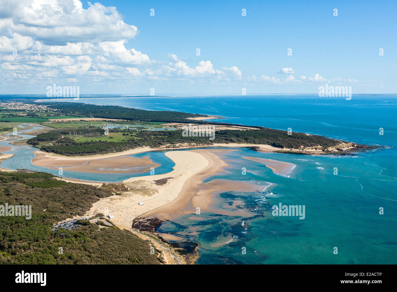 Francia, Vendee, Talmont Saint Hilaire, spiaggia Veillon e Pointe du Payre (vista aerea) Foto Stock