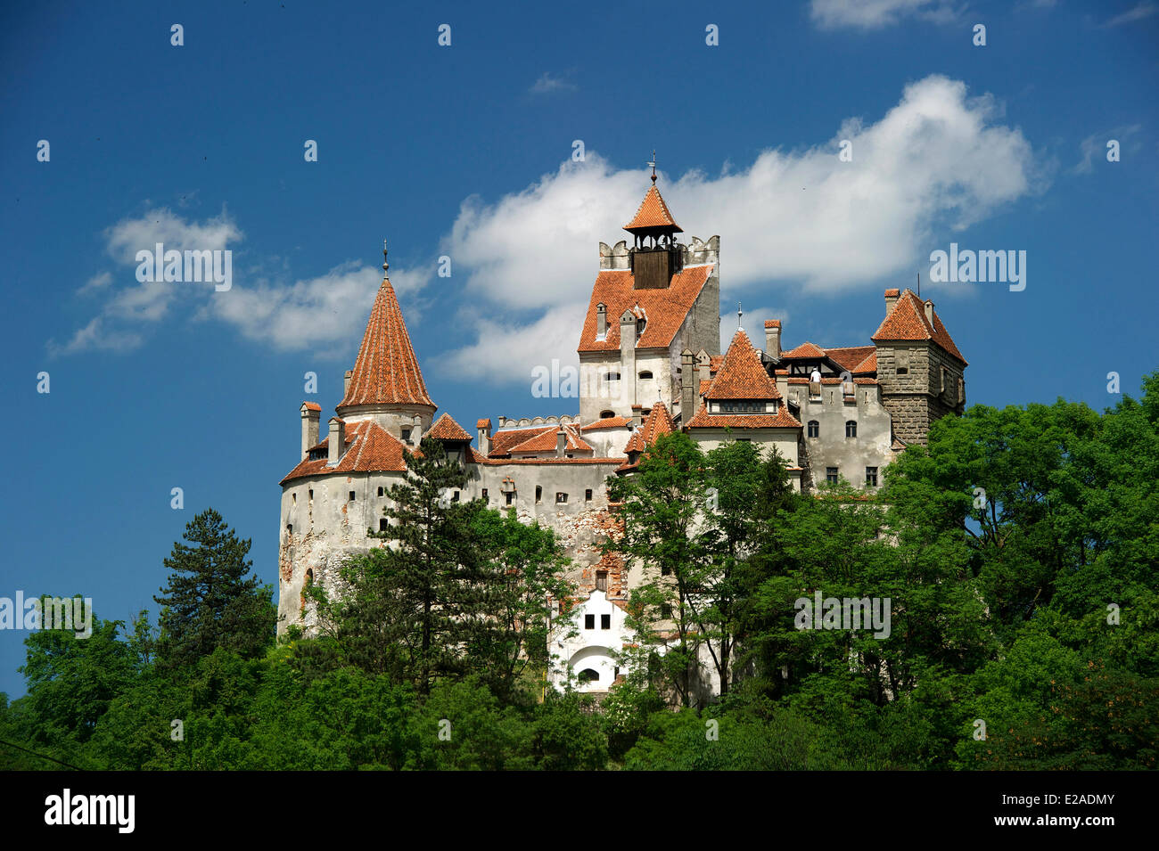 La Romania, Carpazi, Transilvania Regione, crusca, il primo castello fu eretto dai Cavalieri Teutonici nel XIII Foto Stock