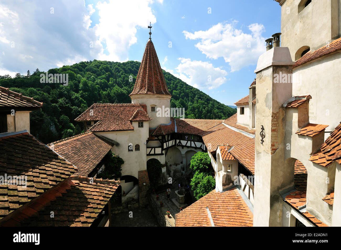 La Romania, Carpazi, Transilvania Regione, crusca, il primo castello fu eretto dai Cavalieri Teutonici nel XIII Foto Stock