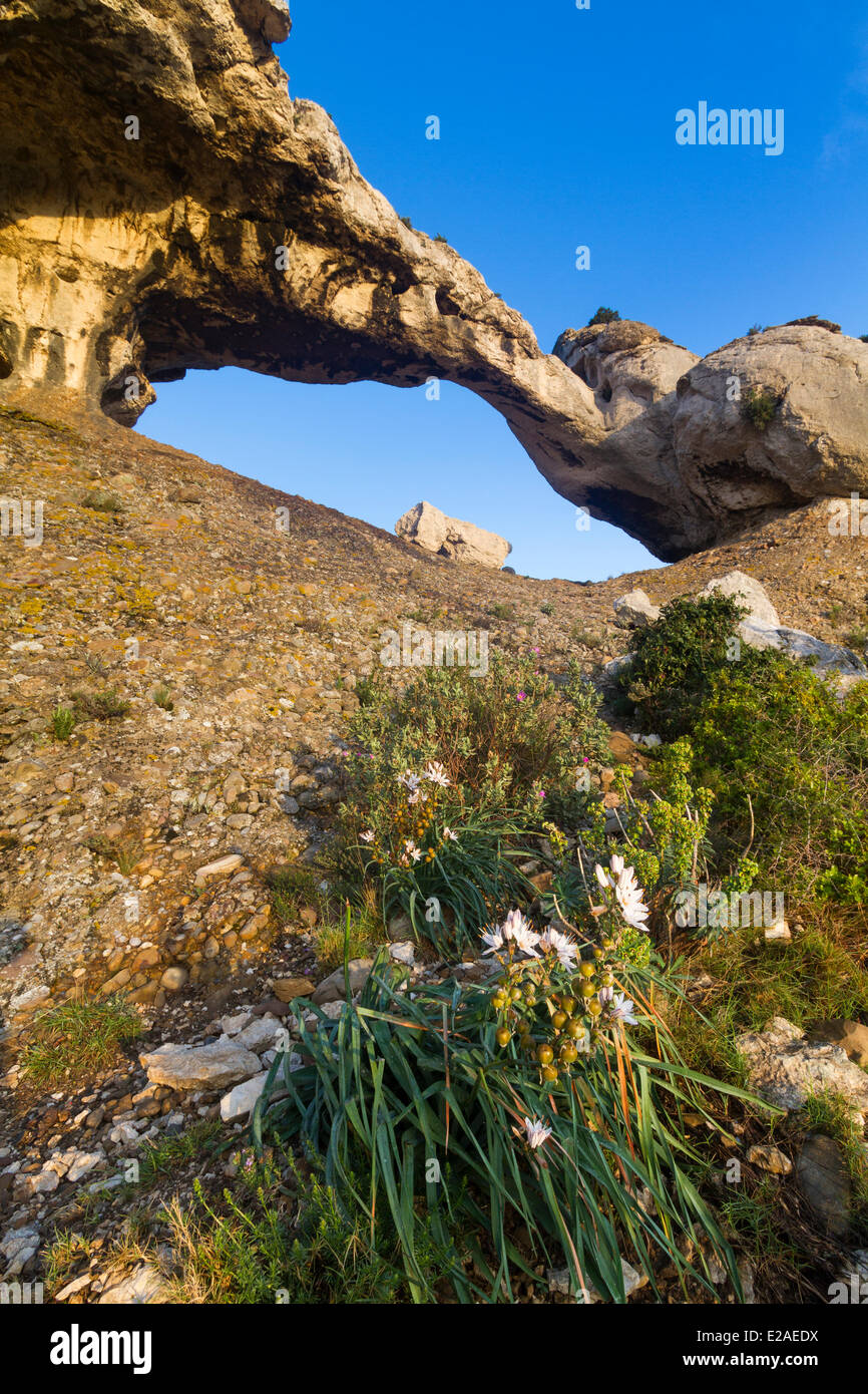 Francia, Bouches du Rhone, La Ciotat, l'arco naturale di Terrevaine misura da 5 - 6 m di altezza su 20 m di larghezza Foto Stock