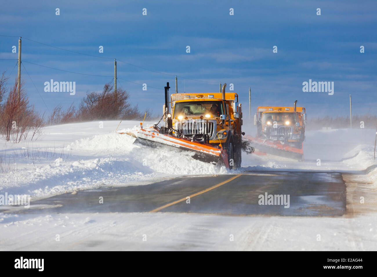 Canada, New Brunswick Provincia, l'Acadian costa, Lameque Miscou e isole, passaggio di spartineve in inverno Foto Stock