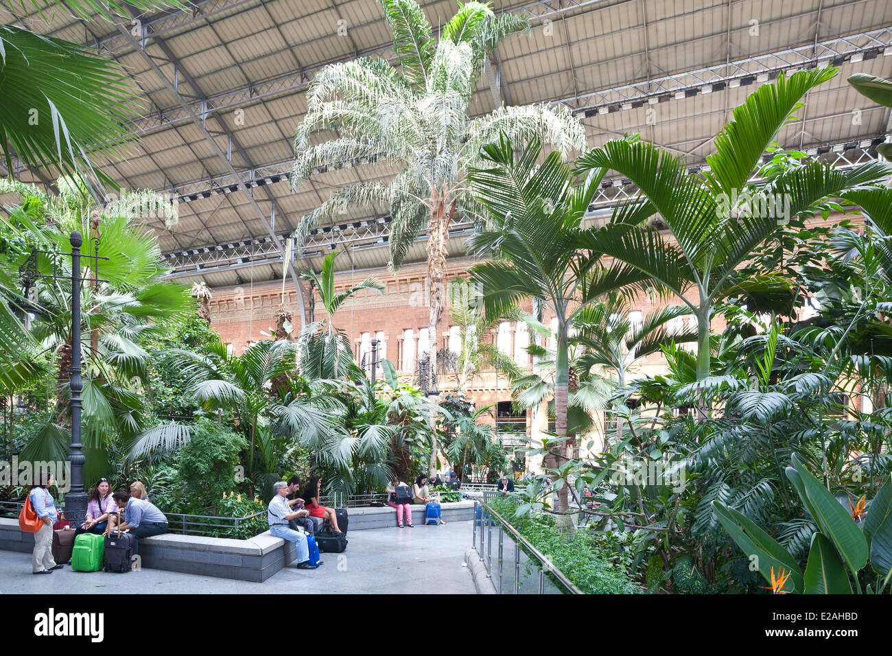 Spagna, Madrid, la stazione di Atocha del tardo XIX secolo quando nel 1992 l'architetto Raphael Moneo installa un 4000 mq Giardino con Foto Stock