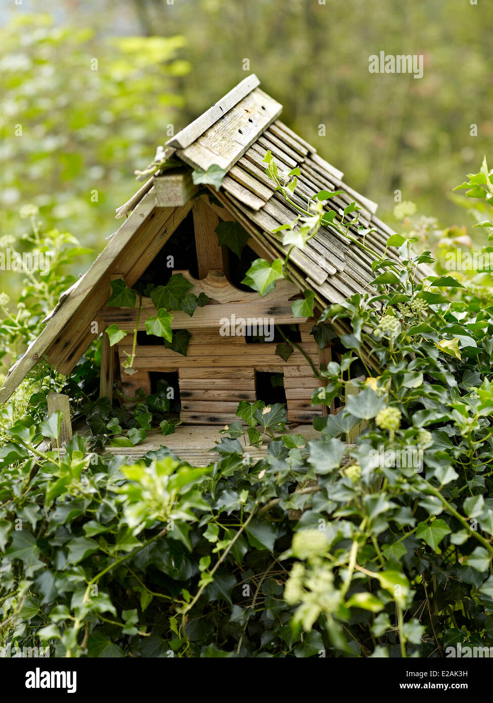 Francia, Bas Rhin, Urmatt, caratteristica : Felder's l'Alsazia, la Nideck apiario produce miele di tutti i colori Foto Stock