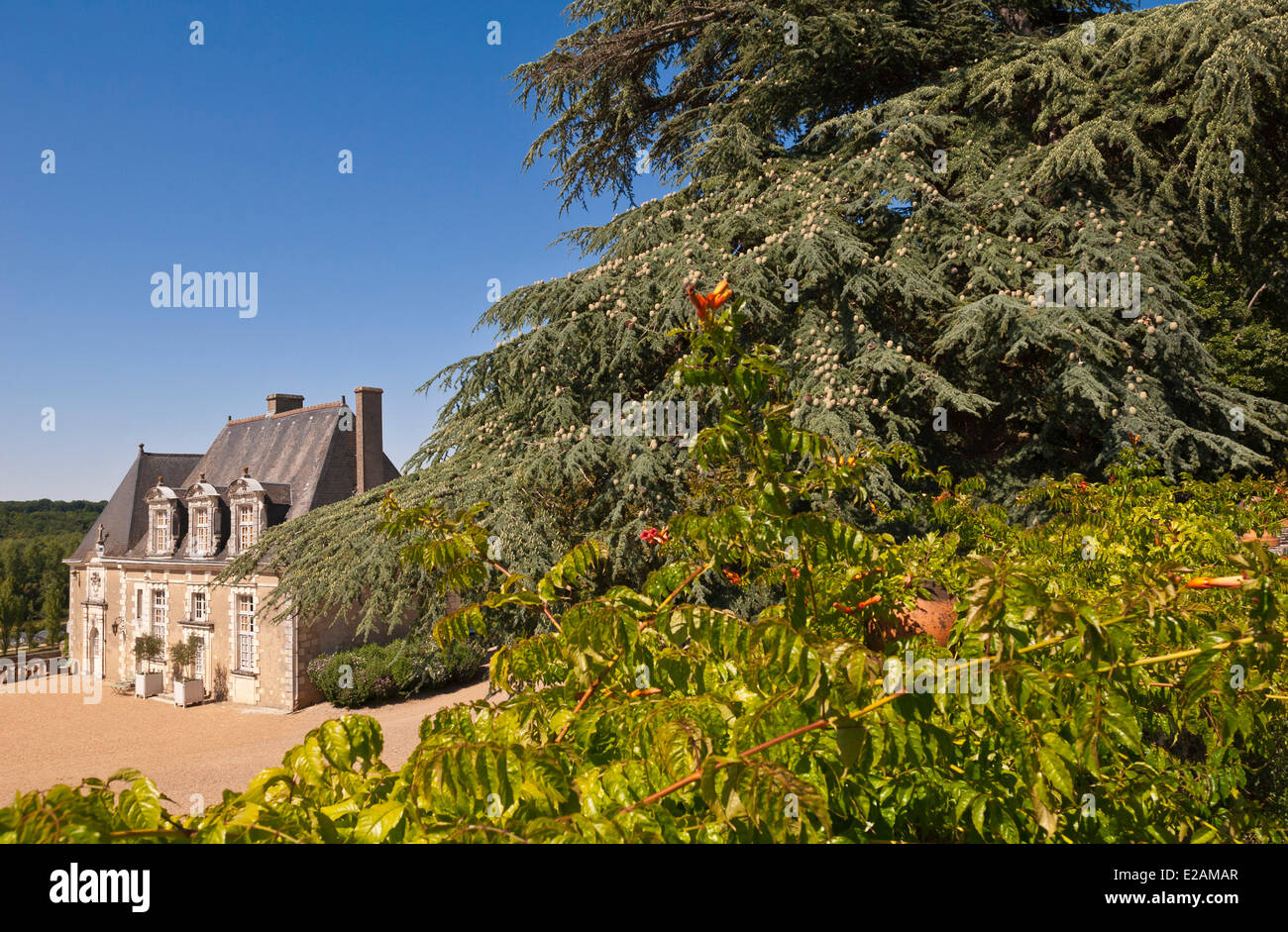 Francia, Indre et Loire, Chancay, Valmer castello, giardino Veranda Foto Stock