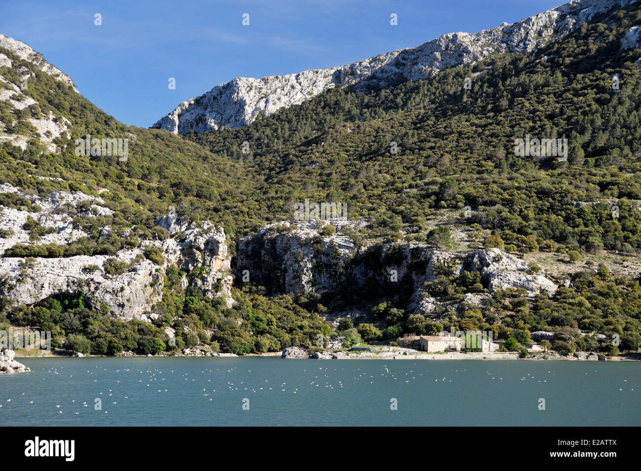 Isole Baleari Spagna, Mallorca, Gorg Blau, lago e barrage, bianco gli uccelli in acqua Foto Stock