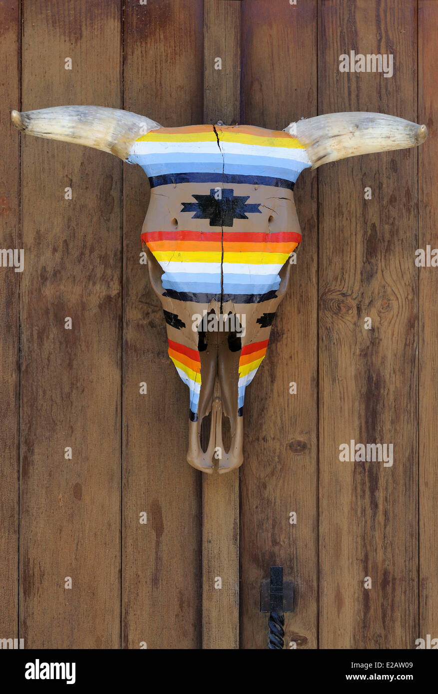Messico, Baja California Sur Stato, Todos Santos, Galleria d'arte dipinta teschio di vacca Foto Stock